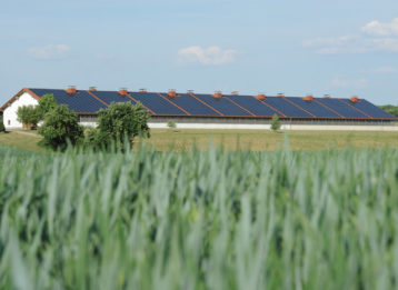 Gefluegelproduzent Initiative Tierwohl