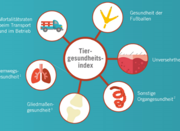 Grafik Tiergesundheitsindex Initiative Tierwohl