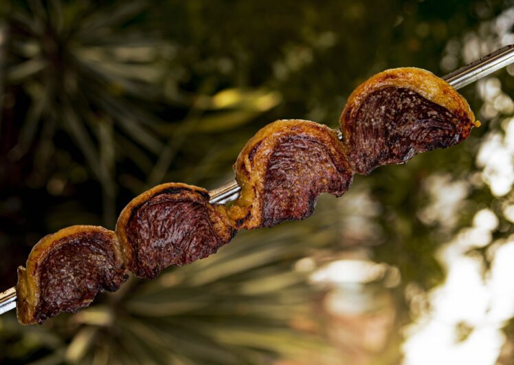 Was ist Picanha? Erfahren Sie, wo der brasilianische Rindfleisch-Cut sitzt, was seinen Fettdeckel auszeichnet und was ihn von Tafelspitz unterscheidet.
